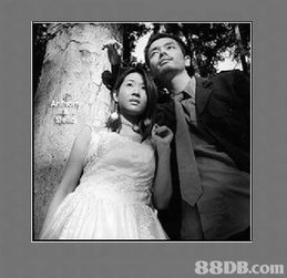 囍结良缘 一站式婚礼与婚介服务引领幸福新时代